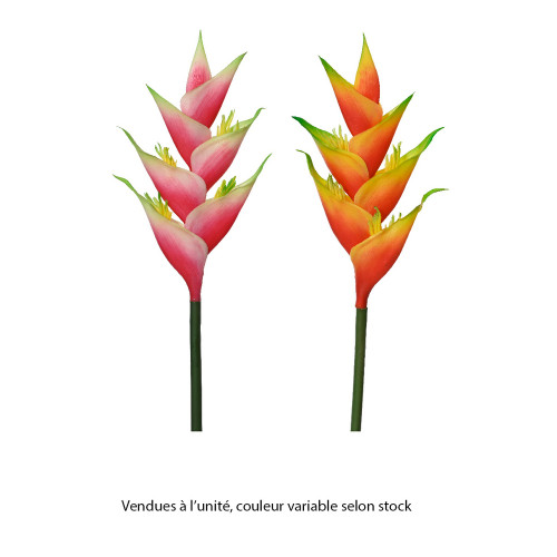 Fleur artificielle : tige d'Heliconia, coloris var