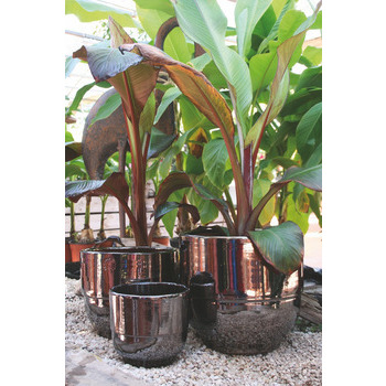 Pot d'intérieur Vase à rebord coloris Métal D30 H2