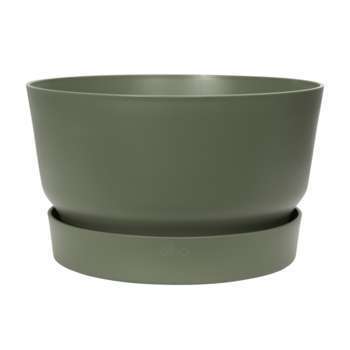 Coupe Greenville ronde en plastique verte - D. 32,