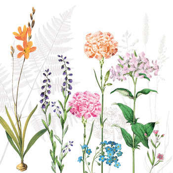 20 serviettes papier : Botanica