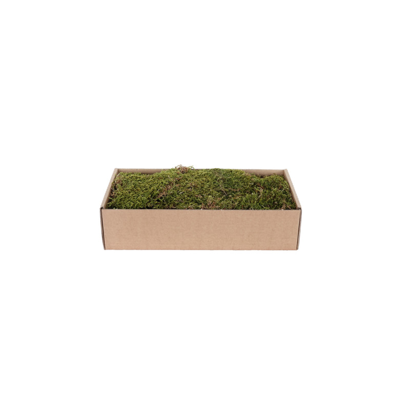 Mousse plate vert marron 500g