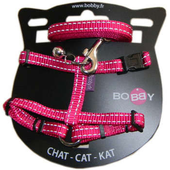 Pack harnais et laisse Safe pour chat : fuschia