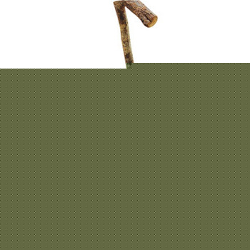 Nichoir Raphia pour oiseaux du jardin - L. 12 x l.